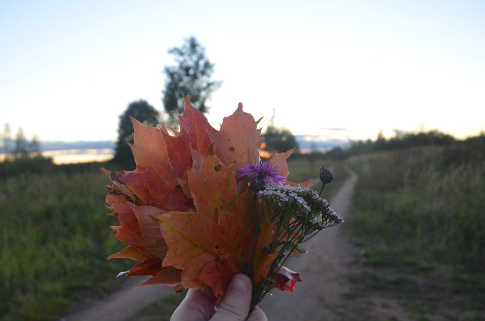 «Я из огненной деревни»