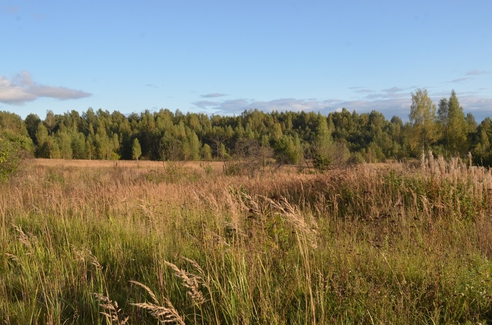 «Я из огненной деревни»
