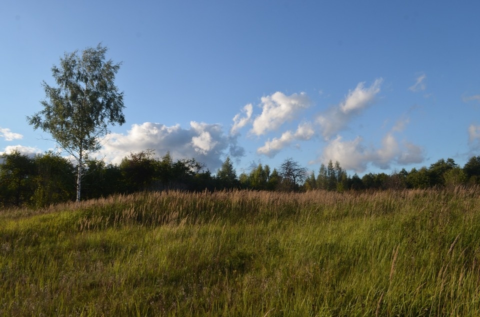 «Я из огненной деревни»
