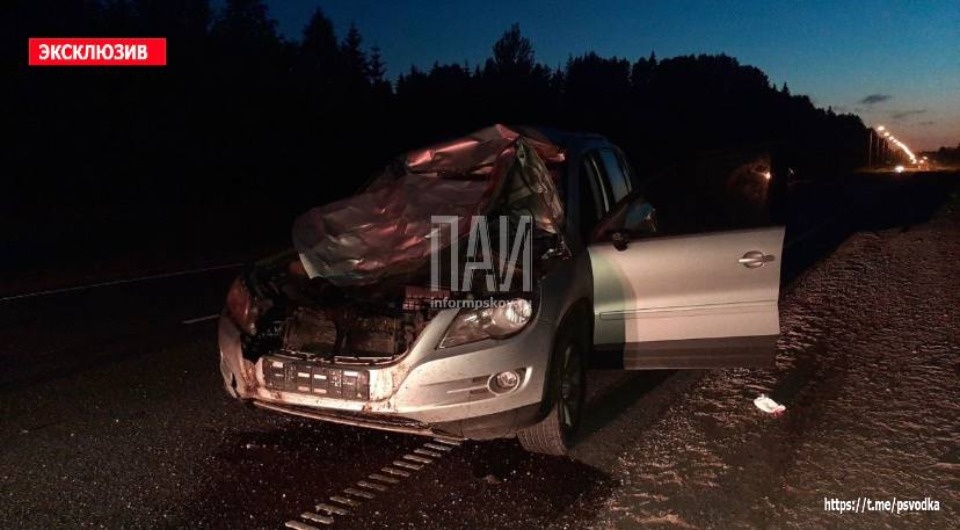 Двух человек госпитализировали в результате столкновения с лосем в Опочецком районе Двух человек госпитализировали в результате столкновения с лосем в Опочецком районе