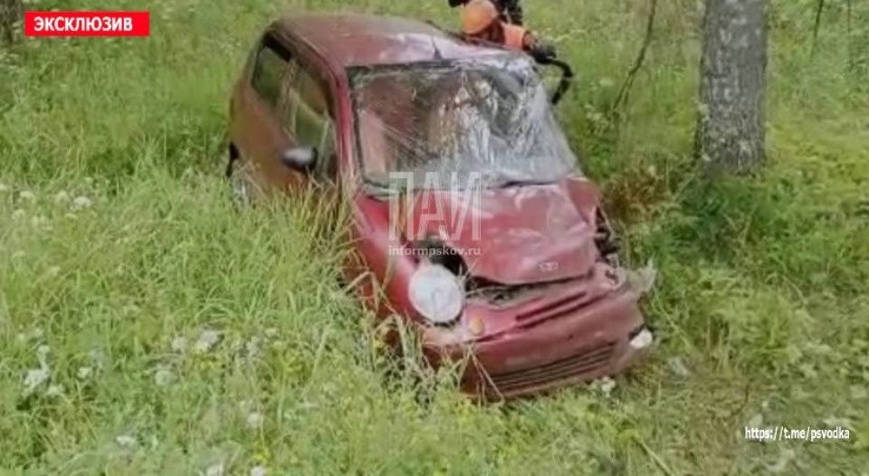 Массовое ДТП с участием детей произошло в Великолукском район