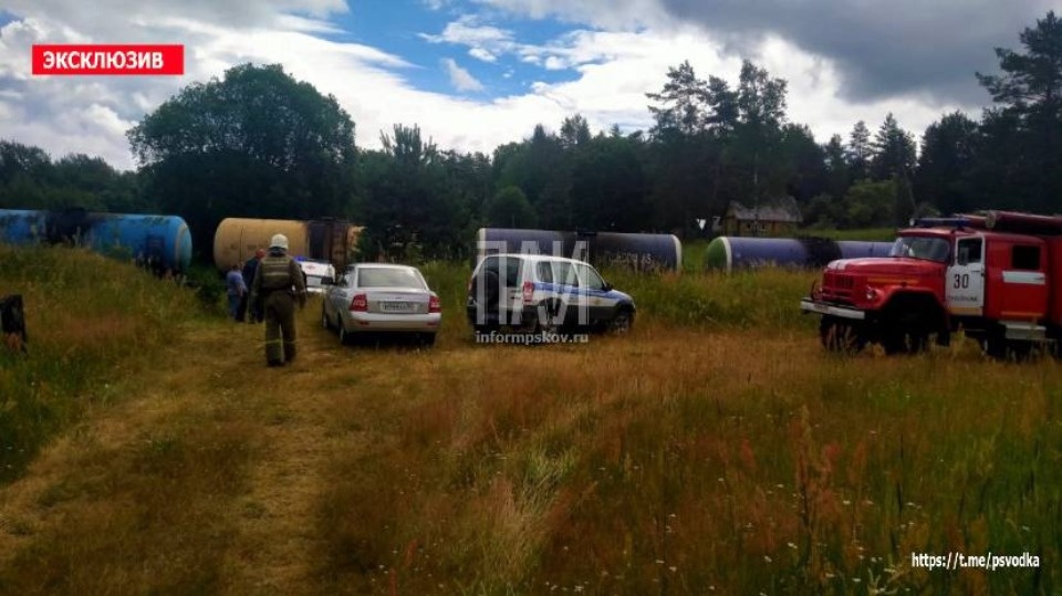 Товарный поезд переехал мужчину в Стругокрасненском районе