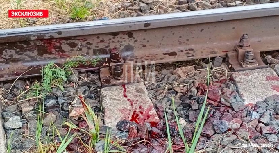 Товарный поезд переехал мужчину в Стругокрасненском районе