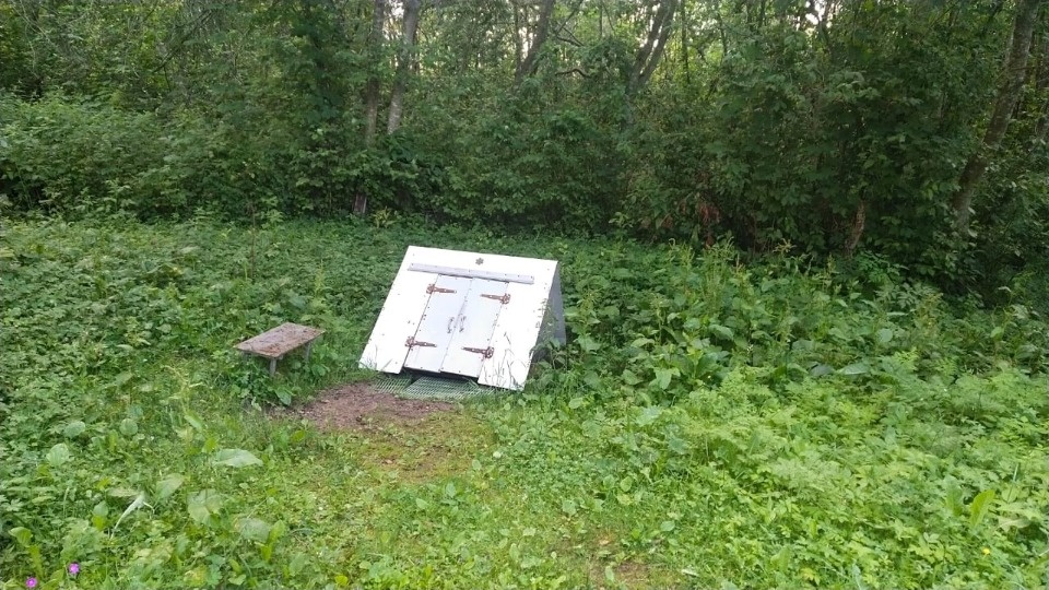 Детский взгляд