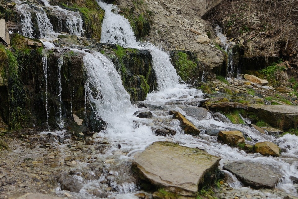Вода, обезьяны и клещи