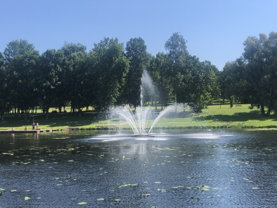 В псковском Дендропарке установили звуковое оборудование для светомузыкального фонтана