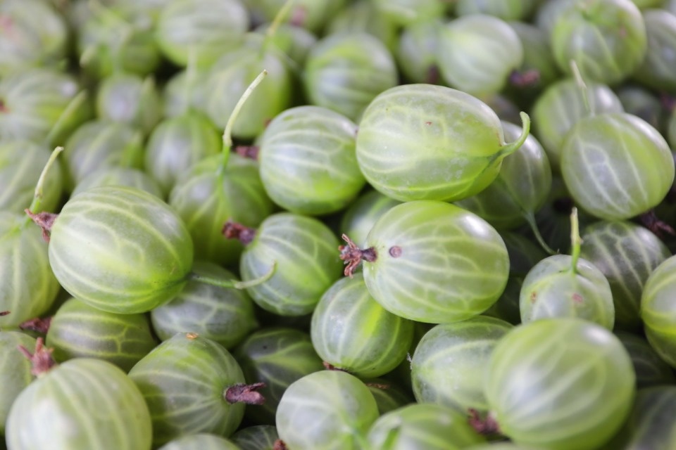 Базарный день