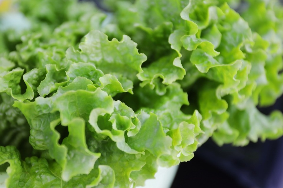 Базарный день