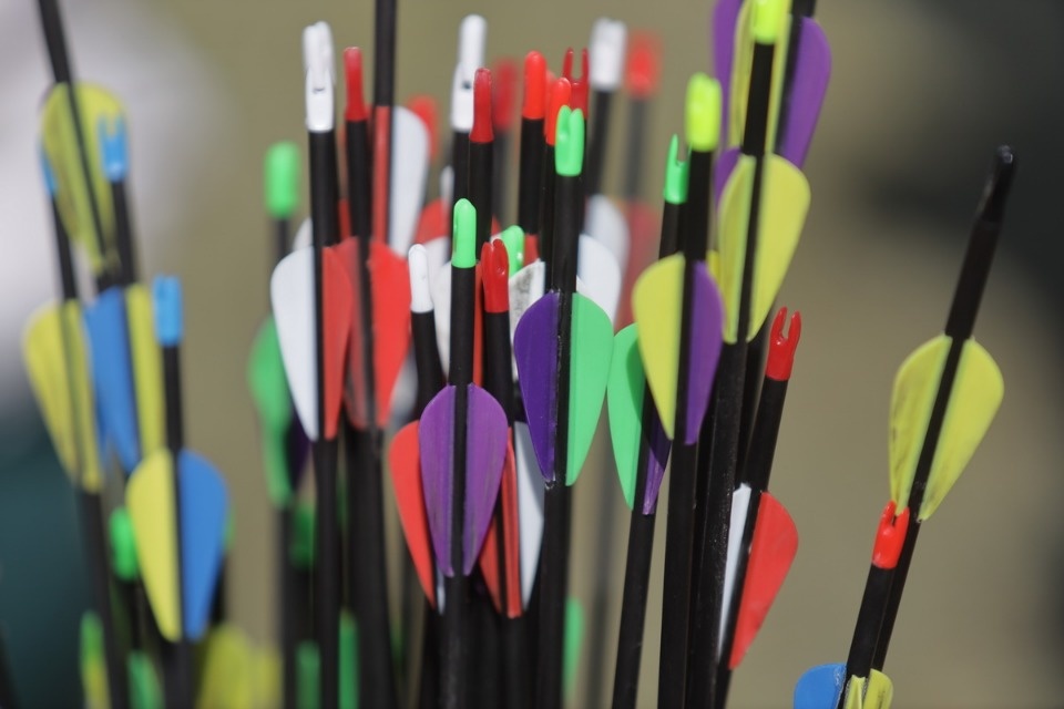 «Кубок Освобождения» «Кубок Освобождения»