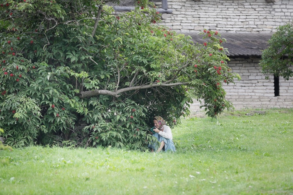 Ольгин день Ольгин день