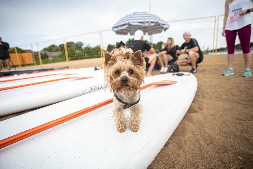 Наш праздник