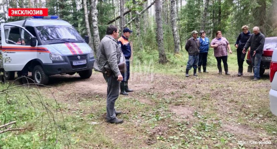 Пропавший в Плюсском районе мужчина самостоятельно вышел к деревне на границе Ленинградской области
