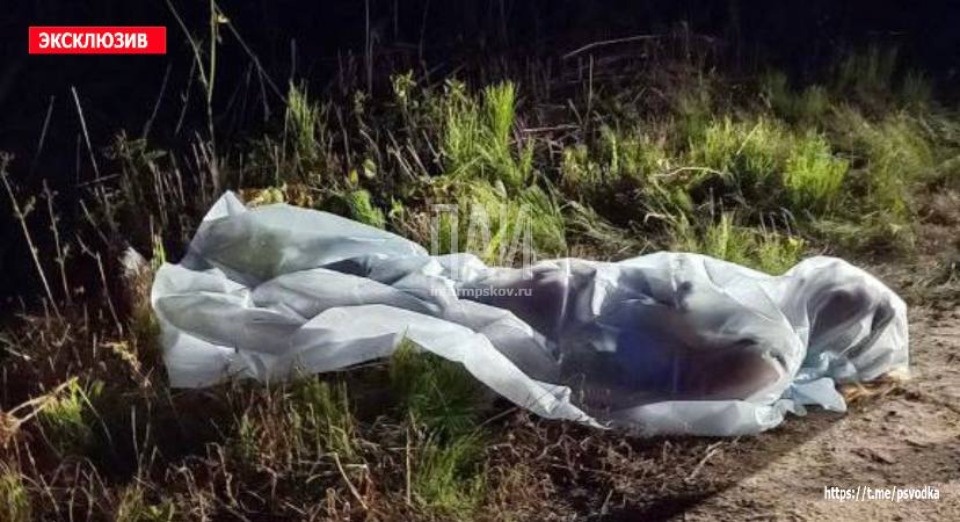 Женщину задавил насмерть собственный автомобиль в Великолукском районе