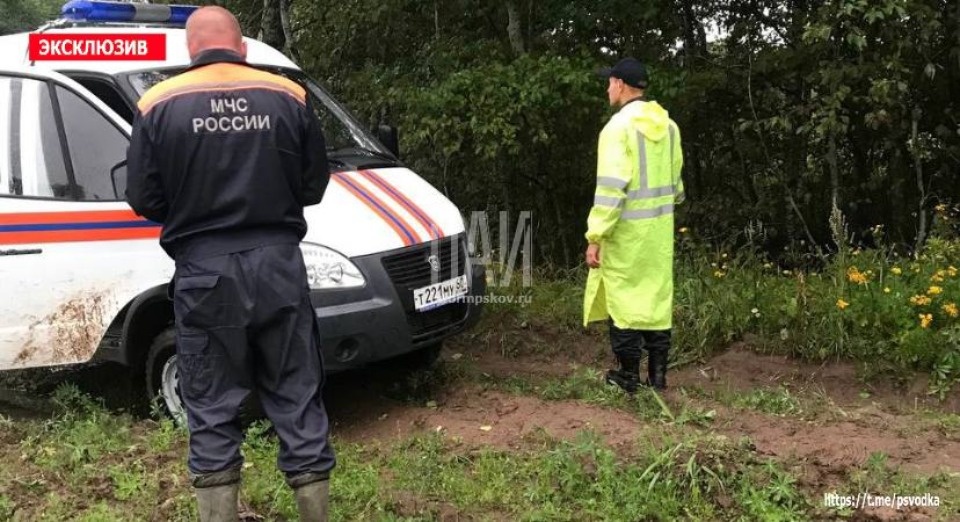 Ушедшего в лес грибника не первый день ищу в Гдовском районе