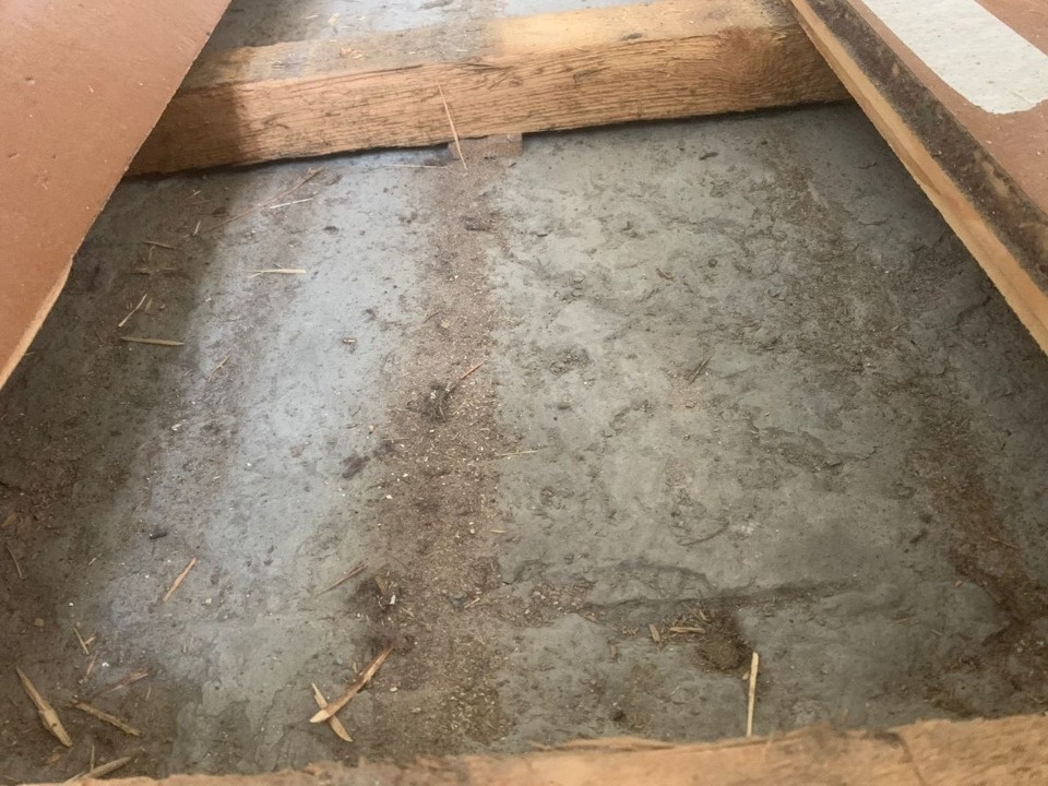 Пол из известняковых плит открыли при исследовании Троицкого собора в Пскове