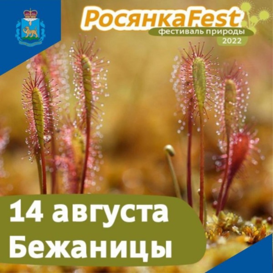 14 августа в Бежаницах состоится фестиваль природы «РосянкаFest» 14 августа в Бежаницах состоится фестиваль природы «РосянкаFest»