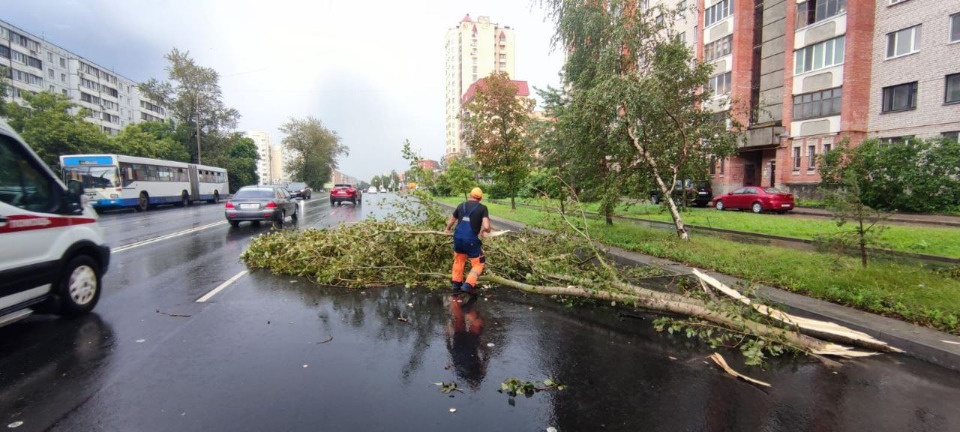 Последствия ливня в Пскове были оперативно устранены — глава УГХ Последствия ливня в Пскове были оперативно устранены — глава УГХ