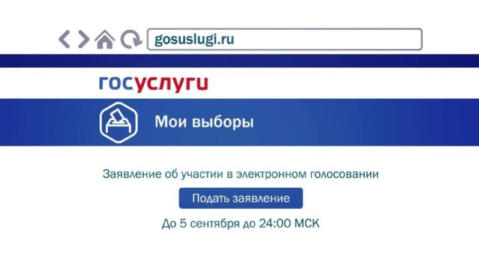 Почти четыре тысячи псковичей отдадут свой голос на выборах в гордуму дистанционно