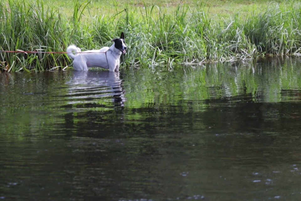 Горячие дни Горячие дни