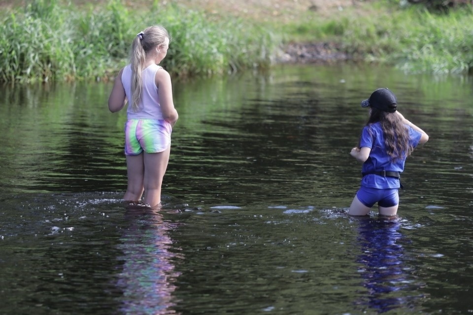 Роспотребнадзор вновь разрешил купаться в Великой в Пскове