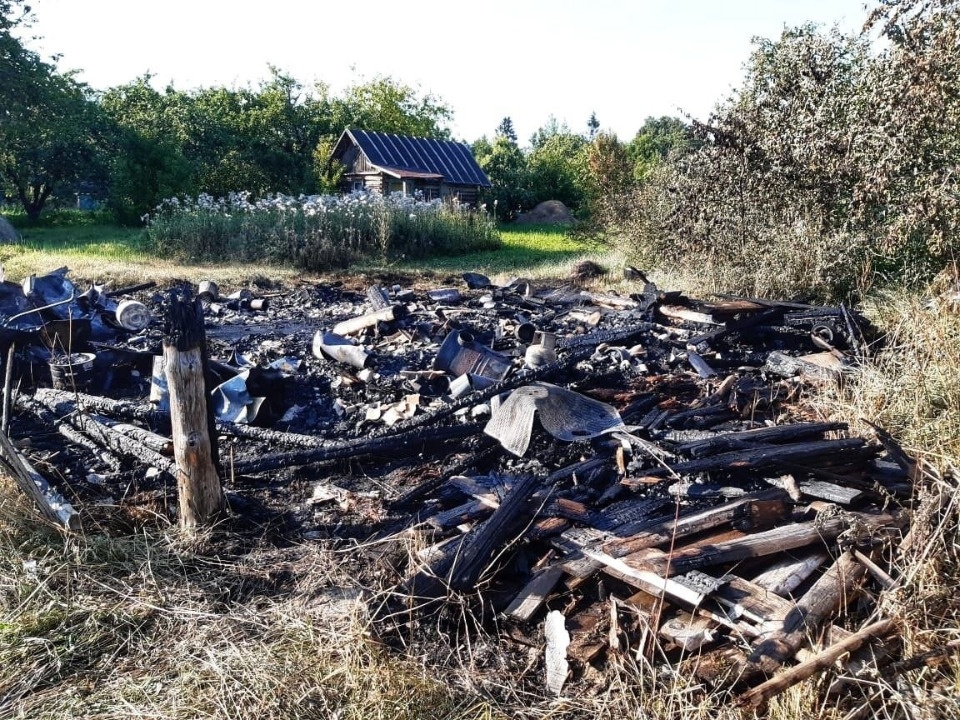 «Эффект линзы» стал причиной пожара в Великолукском районе