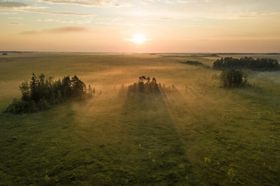 Фотографии Полистовского заповедника участвуют во Всероссийском конкурсе «Исчезающая красота»