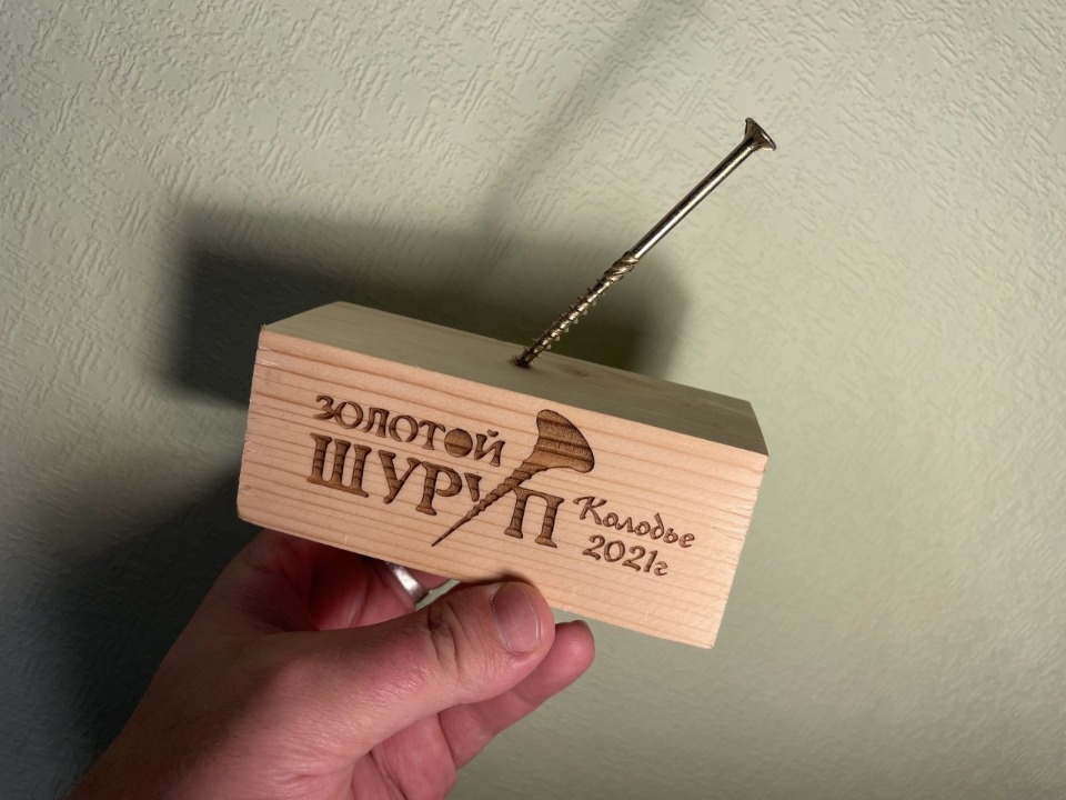 Петербургский писатель организовал в Гдовском районе детский кинофестиваль «Золотой шуруп»