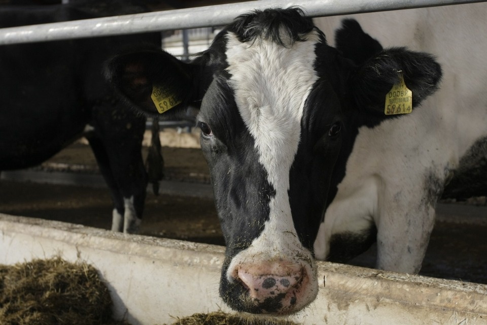 Андрей Козлов: «Бизнес всегда найдет выход из любой ситуации»