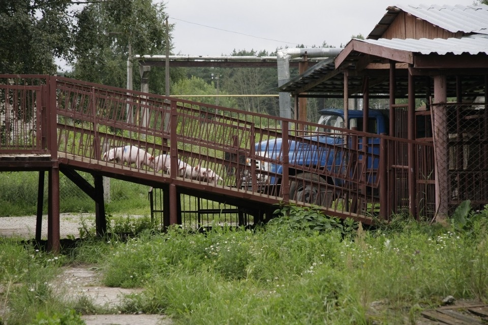 Андрей Козлов: «Бизнес всегда найдет выход из любой ситуации»