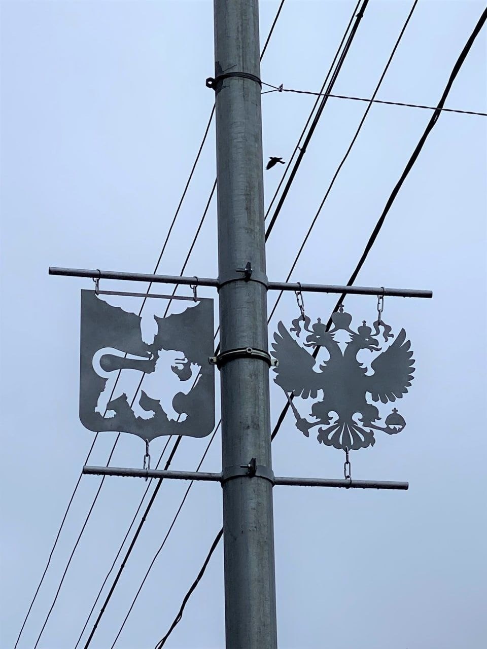 Порядка 20 растяжек с дорожными знаками установили в Пскове