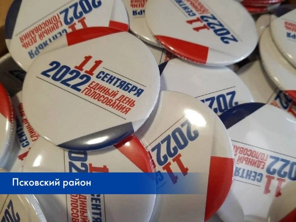 Небольшой сувенир получат впервые голосующие избиратели в Псковской области