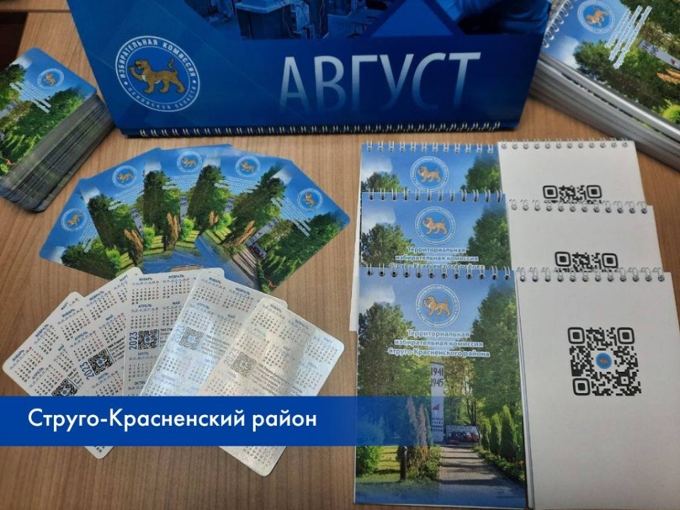 Небольшой сувенир получат впервые голосующие избиратели в Псковской области