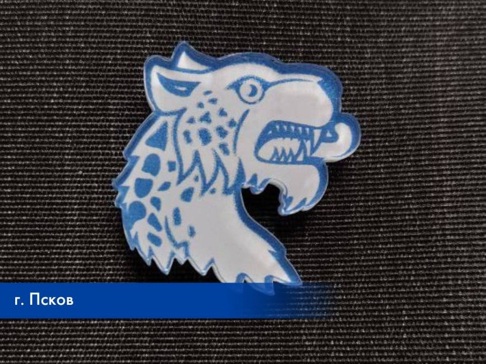 Небольшой сувенир получат впервые голосующие избиратели в Псковской области