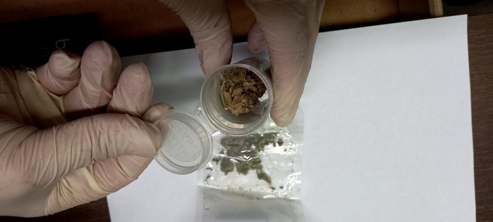 Псковский таможенники изъяли у водителя грузовика марихуану на российско-латвийской границе