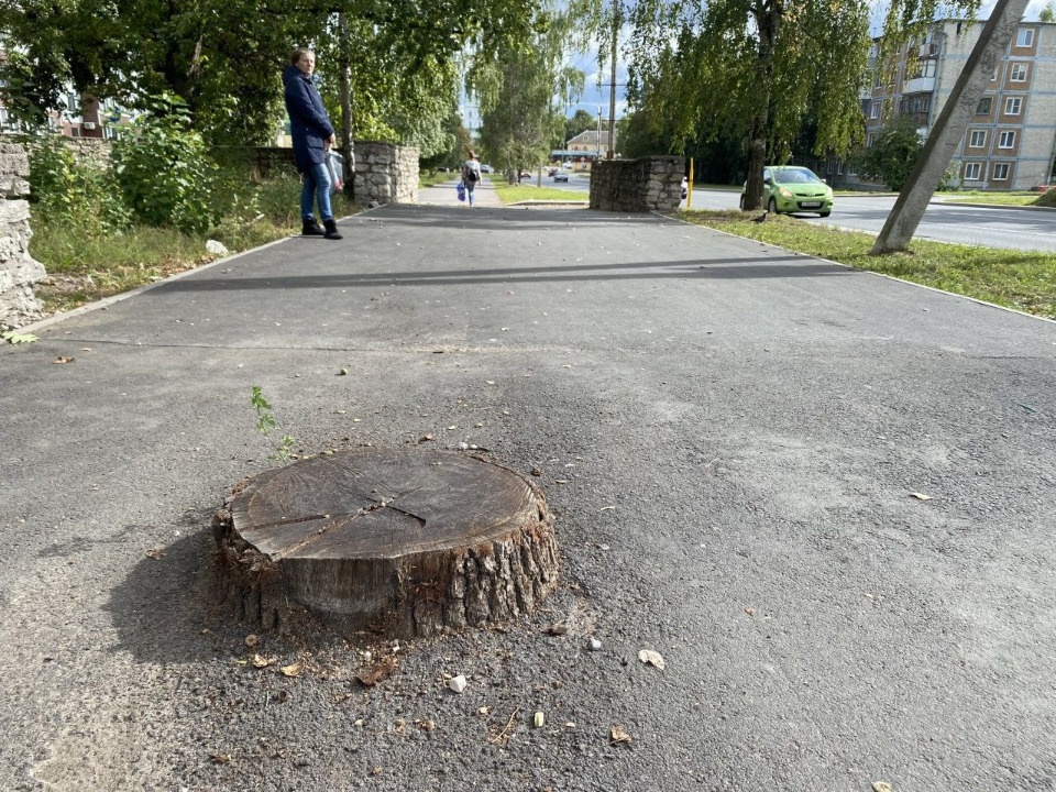 Тротуары на улице Коммунальной в Пскове начнут приводить в порядок на следующей неделе