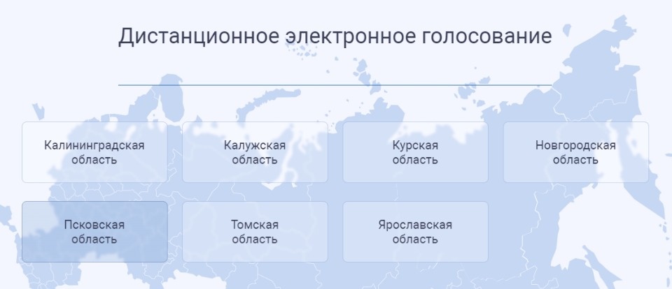 Порядка 82% составила явка на ДЭГ в Пскове