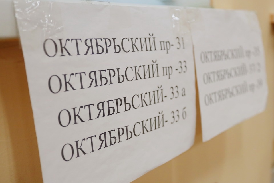 Царство КОИБов