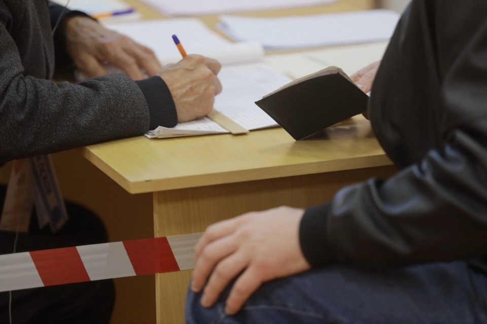 Царство КОИБов