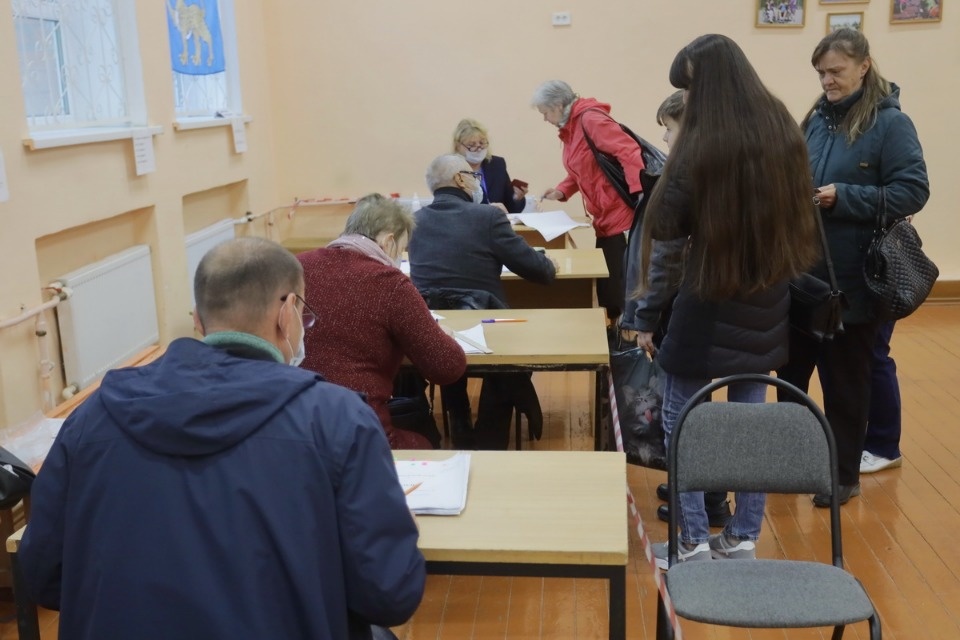 Царство КОИБов