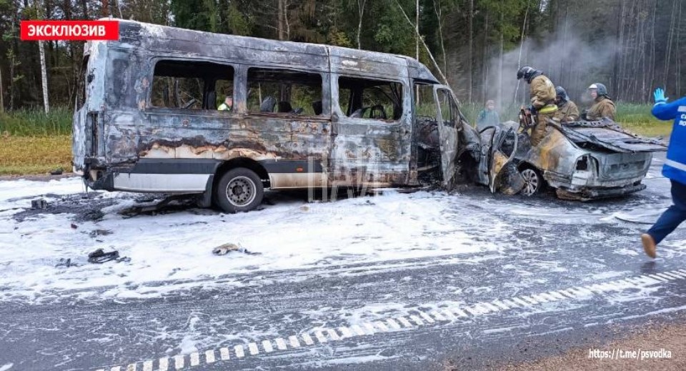 Два человека погибли в результате возгорания автомобиля в Опочецком районе Два человека погибли в результате возгорания автомобиля в Опочецком районе