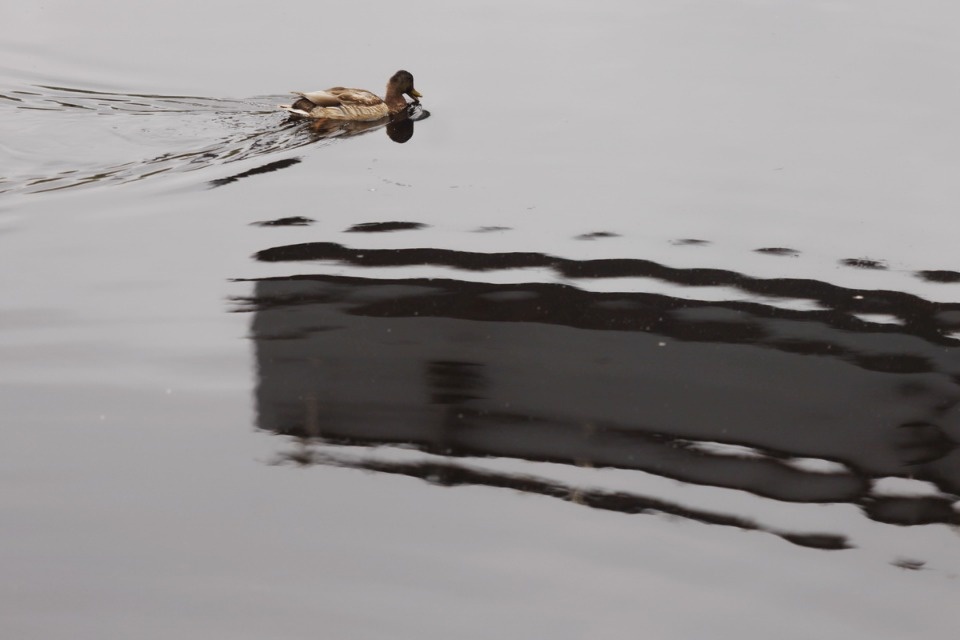 Навести мосты Навести мосты