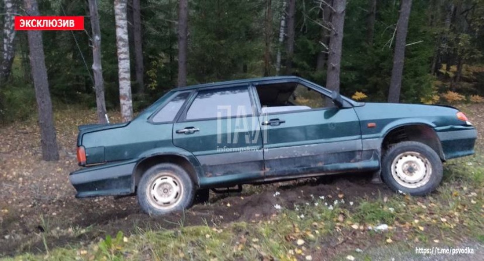 Женщину, вышедшею на трассу за помощью, сбили насмерть в Порховском районе Женщину, вышедшею на трассу за помощью, сбили насмерть в Порховском районе