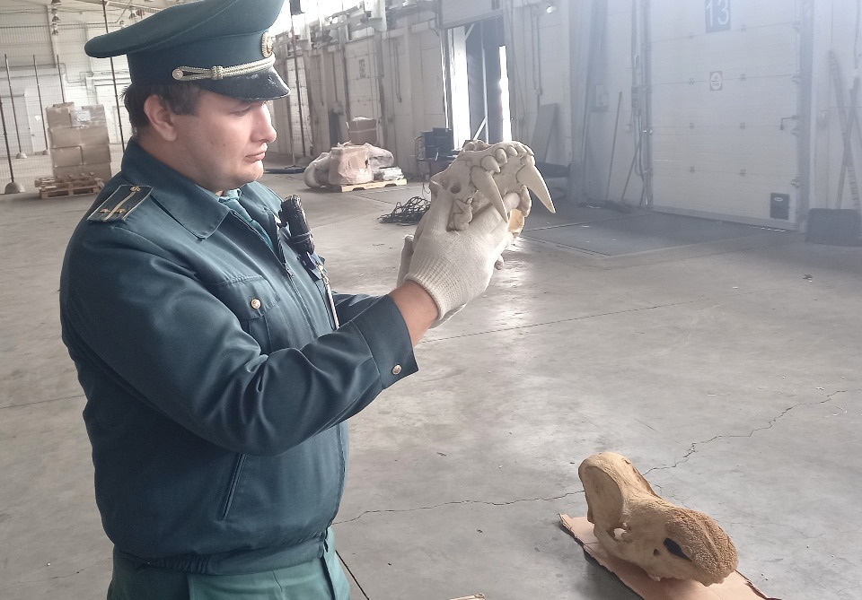 Псковские таможенники пресекли попытку вывезти останки доисторических животных из России 