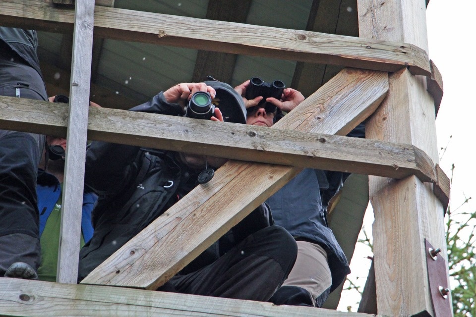 Люди и леса