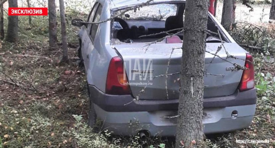 Водитель пострадал при столкновении с деревом в Невельском районе Водитель пострадал при столкновении с деревом в Невельском районе