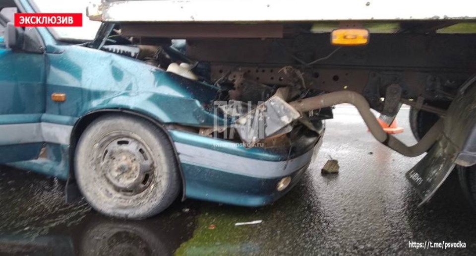 Переходившая дорогу семья лебедей стала причиной ДТП в Куньинском районе Переходившая дорогу семья лебедей стала причиной ДТП в Куньинском районе