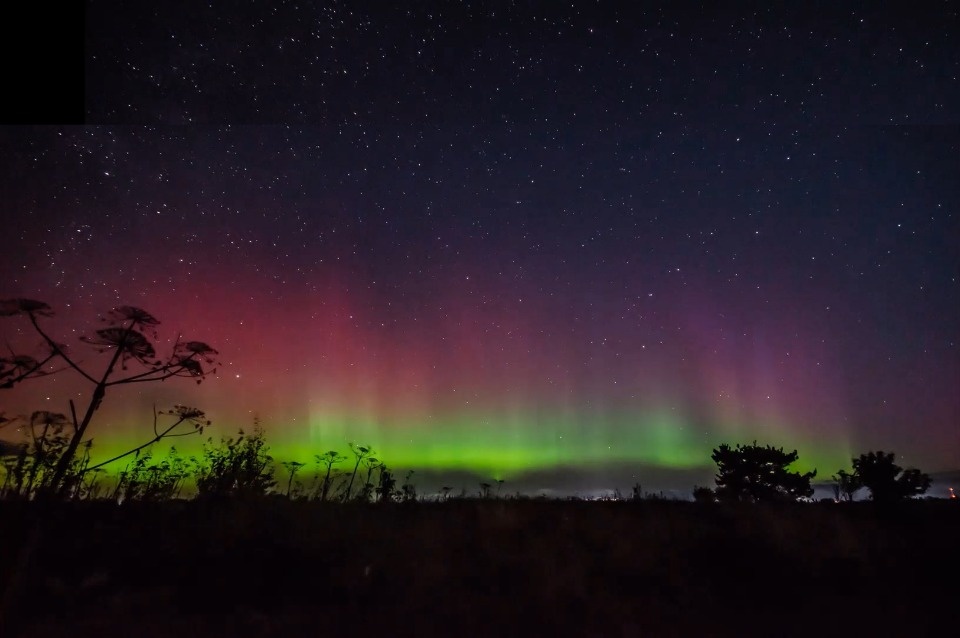 Северное сияние запечатлели в небе под Псковом Северное сияние запечатлели в небе под Псковом