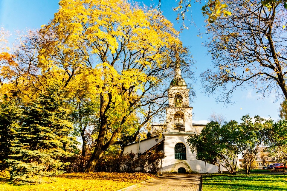 До 14 градусов тепла ожидается в Псковской области 28 сентября До 14 градусов тепла ожидается в Псковской области 28 сентября