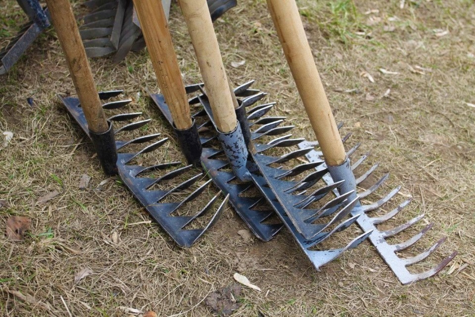 В Пскове пройдет традиционный осенний месяц чистоты В Пскове пройдет традиционный осенний месяц чистоты