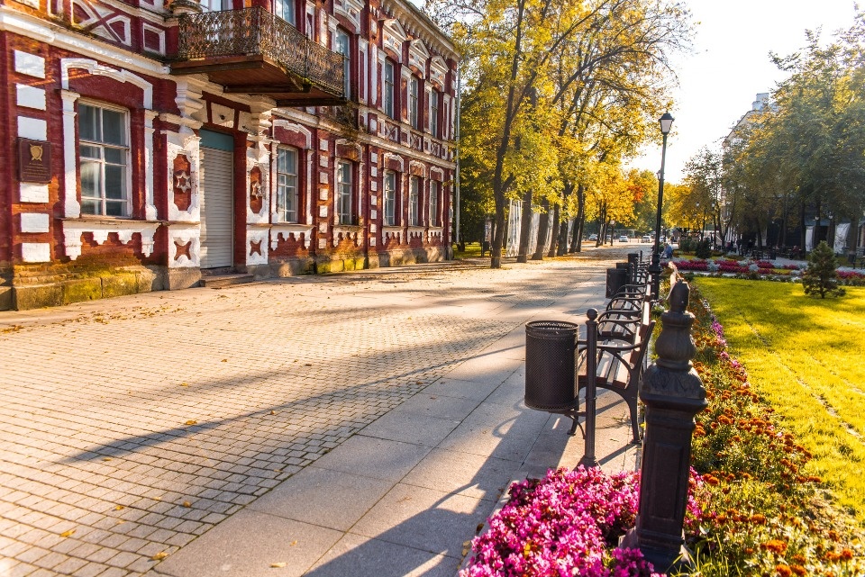 До +14 градусов прогреется воздух в Псковской области 1 октября